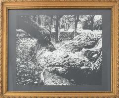 Biai G. jelzéssel: Parkrészlet. Tus, papír, jelzett, üvegezett keretben, 27,5×35 cm