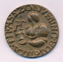 Asszonyi Tamás (1942-) DN bronz névjegyérem (31mm) T:AU,XF