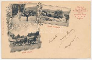 1902 Algyógy, Geoagiul de jos, Geoagiu; M. kir. állami Gróf Kún Kocsárd székely földműves iskola (EM...