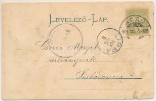 1905 Arad, Vértanú szobor. Ifj. Klein Mór kiadása / statue, monument (r)