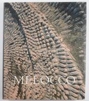 Wehner Tibor: Melocco Miklós. 2005, Helikon. 294p. Kiadói kartonált kötés, papír védőborítóval, jó állapotban.