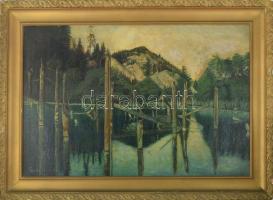 Szuhodovoszky jelzéssel: Gyilkos-tó, 1954. Olaj, vászon. Dekoratív, kissé sérült fakeretben, 56×89 cm. KIZÁRÓLAG SZEMÉLYES ÁTVÉTEL, NEM POSTÁZZUK! / ONLY PERSONAL COLLECTION AT OUR OFFICE!