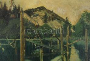 Szuhodovoszky jelzéssel: Gyilkos-tó, 1954. Olaj, vászon. Dekoratív, kissé sérült fakeretben, 56×89 c...
