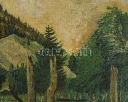 Szuhodovoszky jelzéssel: Gyilkos-tó, 1954. Olaj, vászon. Dekoratív, kissé sérült fakeretben, 56×89 c...