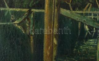 Szuhodovoszky jelzéssel: Gyilkos-tó, 1954. Olaj, vászon. Dekoratív, kissé sérült fakeretben, 56×89 c...