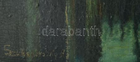 Szuhodovoszky jelzéssel: Gyilkos-tó, 1954. Olaj, vászon. Dekoratív, kissé sérült fakeretben, 56×89 c...