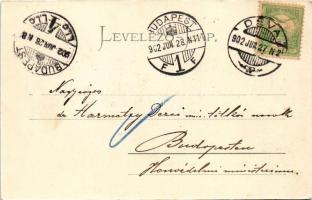 1902 Déva, látkép, vár. Hirsch Adolf kiadása / general view, castle