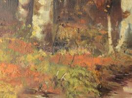 Kömpöczi Balogh Endre (1911-1977): Őszi erdő. Olaj, vászon. Jelzett. Dekoratív fakeretben, 60×80 cm