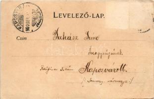 1900 Nagykőrös, Piac tér, Városháza, Városi szálloda, Trummer és Reiner, Rothbaum üzlete. Bazsó Lajo...