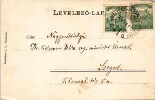 1924 Füzérradvány, Radvány; Gróf Károlyi kastély parkja, fasor. Seefehlner J. L. (EB)