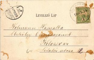 1906 Budapest XI. Kelenföld, Mattoni-féle Erzsébet királyné sósfürdő, Mattoni lak és társalgó terem,...