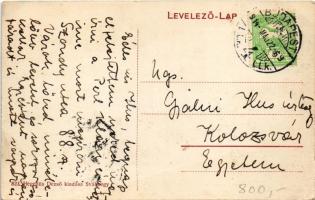 1914 Budapest XII. Svábhegy, Hajós villa. Hegedüs Dezső kiadása (EK)