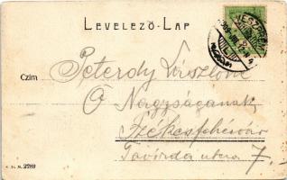 1909 Veszprém, Szent Benedek-hegy alatti malom, vízimalom. Krausz A. fia kiadása (EK)