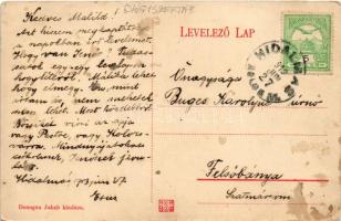 Hídalmás, Hida; Wesselényi utca, Gyógyszertár, Piactér. Donogán Jakab kiadása / street view, pharmac...