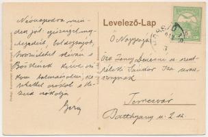 1913 Hosszúaszó, Langenthal, Hosszuszeo, Valea Lunga; látkép. Joseph Briegel, F. Grail / view
