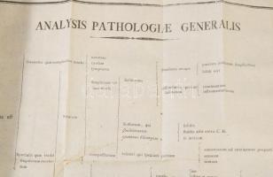 Gaub, Hieronymus David; Dejean, Ferdinand: Commentaria in institutiones pathologiae medicinalis auto...
