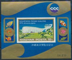 1975 Nemzetközi óceán kiállítás vágott blokk (6.000)