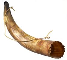 1910 Faragott tulok szarv kürt. Kiss Géza, 1910, faragott és vésett tulok szarv, állat-, ember- és címerábrázolással, a himnusz soraival vésve, végén kis sérüléssel, h: 76 cm