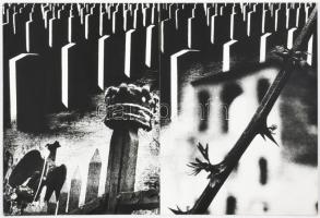 1977 Brunczel Tibor salgótarjáni fotóművész alkotása (Variációk egy témára), 1 db nagyméretű, felira...