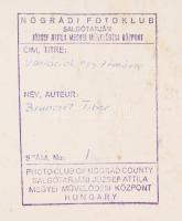 1977 Brunczel Tibor salgótarjáni fotóművész alkotása (Variációk egy témára), 1 db nagyméretű, felira...