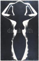 1977 Czakó László (?-?) pécsi fotóművész alkotása (Amfóra), 1 db nagyméretű, feliratozott, vintage f...