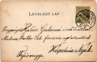 1905 Siófok, Balaton térkép, fürdőház, strand. Károlyi Gy. kiadása. Art Nouveau, litho (EM)