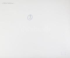 1977 Csonka Béla (1938-2018) kaposvári fotóművész felvétele (Karakterek), 1 db nagyméretű, feliratoz...