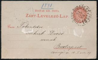 1891 5kr díjjegyes zárt levelezőlap "ZIMONY-BUDAPEST" vasúti bélyegzéssel / PS-cover card ...
