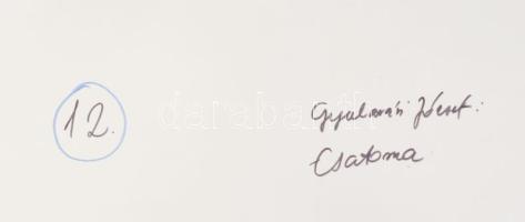 1977 Gyulavári József bajai fotóművész felvétele (Csatorna), 1 db nagyméretű, feliratozott, vintage ...