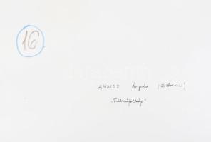 1977 Andics Árpád debreceni fotóművész felvétele (Túlzsúfoltság), 1 db nagyméretű, feliratozott, vin...