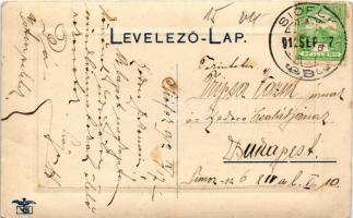 1912 Siófok, fürdőzők a Balatonban, strand, nádas (EK)