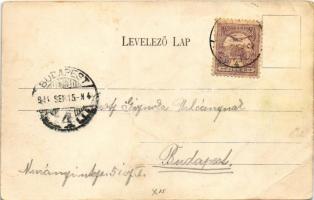 1904 Zebegény, Vasúti részlet, Szünidei gyermektelep. Fuchs Sándor kiadása (EB)