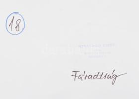 1977 Szijártó Ernő győri fotóművész felvétele (Fáradtság), 1 db nagyméretű, feliratozott, pecséttel ...