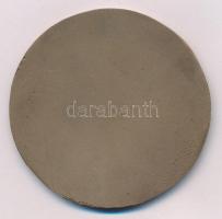 1970 k. "Pro Pátria - A vállalatért 1893" egyoldalas, öntött bronz emlékérem (68mm) T:AU