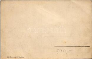 Budapest XII. Új Szent János kórház. Schwarz J. kiadása (fl)