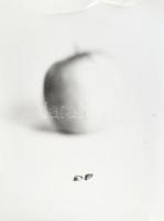 1977 Seres Péter debreceni fotóművész felvétele (Alma), 1 db nagyméretű, feliratozott, vintage alkot...