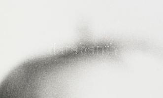 1977 Seres Péter debreceni fotóművész felvétele (Alma), 1 db nagyméretű, feliratozott, vintage alkot...