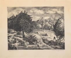 Imre István (1918-1983): Mátrában. Rézkarc, papír, jelzett, kartonra kasírozva, lapszéli halvány ázásnyomokkal, 29,5×39 cm