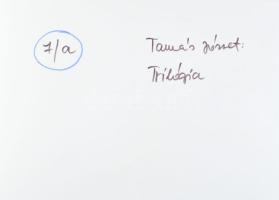 1977 Tamás József bajai fotóművész felvételei (Trilógia I-II-III.), 3 db feliratozott, vintage alkot...