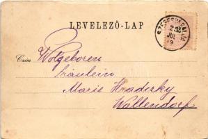 1899 Szepesváralja, Spisské Podhradie; Szepesi káptalan (Szepeshely), templom és püspöki lak, Szent ...