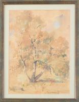 Szendeff Miklós (-): Ártéri fa, Duna, Tolna megye, 1920-40 körül. Akvarell, papír, jelzett, hátoldalán feliratozott. Üvegezett fakeretben, 28x21 cm