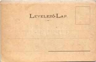 Marosvásárhely, Targu Mures; Szentgyörgy utca, Bedő Kálmán, Gyulay Testvérek üzlete, Bergel Mór buda...