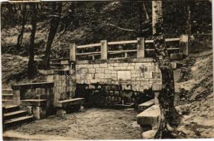 1926 Visegrád, Mátyás-forrás (fa)