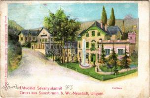 Savanyúkút, Sauerbrunn; Curhaus / gyógyterem. Michael Stelzmüller kiadása / spa, bath (szakadás / tear)