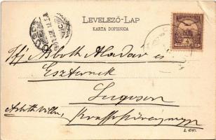 1901 Crikvenica, Cirkvenica; Molo / gőzhajó, kikötő / steamship, port (EB)