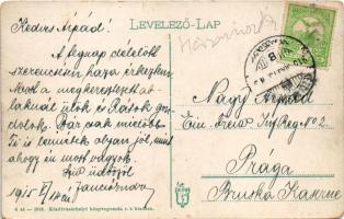 1915 Kézdivásárhely, Targu Secuiesc; Zsigmond tér a vigadóval, piac, üzletek. Kézdivásárhelyi könyvn...