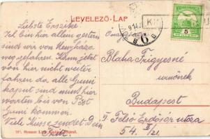 1914 Kisjenő, Kis-Jenő, Chisineu-Cris; M. kir. állami iskola, Kir. járásbíróság. Messzer Lipót kiadá...
