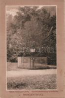 Trencsénteplic hornbeam