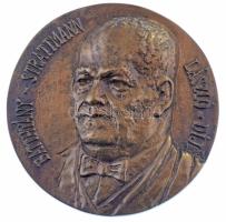 Kampfl József (1938-2020) 1992. "Batthyány-Strattmann László-díj" egyoldalas, öntött bronz emlékérem tokban (89mm) T:UNC,AU CS 48