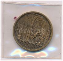 1960-1970 k. "Selmecbányai Bányászati Akadémia - kémlészettan" Matthäus Donner emlékérméjé...